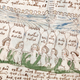Imagen para el artículo titulado Códice Voynich: el manuscrito cifrado que nadie ha podido resolver en 600 años
